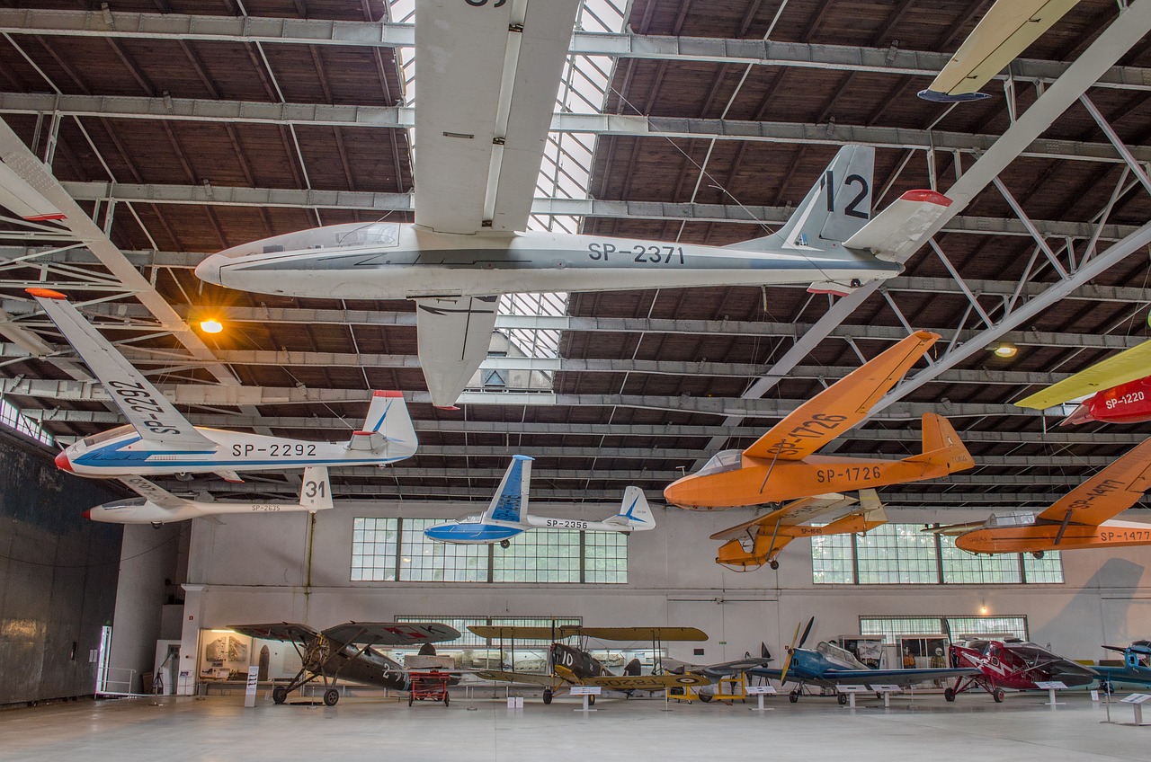 The Role of Museums in Preserving Cultural Heritage